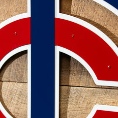 Minnesota Twins Premier Metal Wall Art - MLB Home