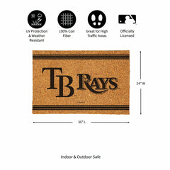 Tampa Bay Rays Large One Color Coir Mat, 36"x24" - MLB