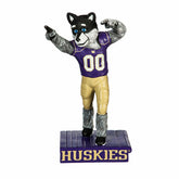 University of Washington Huskies, Mascot Statue - Collegiate Home