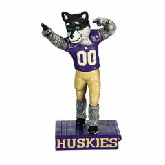 University of Washington Huskies, Mascot Statue - Collegiate Home