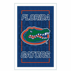 University of Florida College Rectangle Neolite LED Decor - Collegiate Home