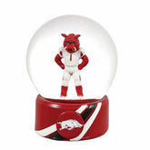 Water Globe, University of Arkansas - Collegiate Home