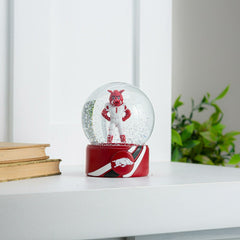 Water Globe, University of Arkansas - Collegiate Home