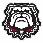 LED Wall Decor, Glazelite, College Mascot, University of Georgia - Collegiate Home