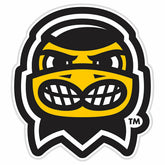 LED Wall Decor, Glazelite, College Mascot, University of Iowa - Collegiate Home