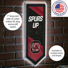 LED Wall Decor, Pennant, University of South Carolina - Collegiate Home