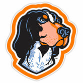 LED Wall Decor, Glazelite, College Mascot, University of Tennessee - Collegiate Home
