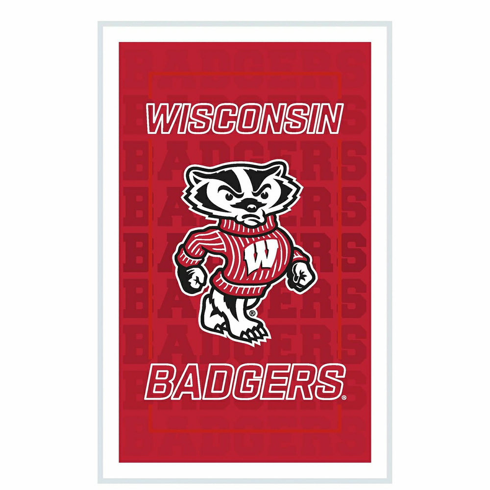 University of Wisconsin-Madison College Rectangle Neolite LED Decor - Collegiate Home