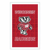 University of Wisconsin-Madison College Rectangle Neolite LED Decor - Collegiate Home