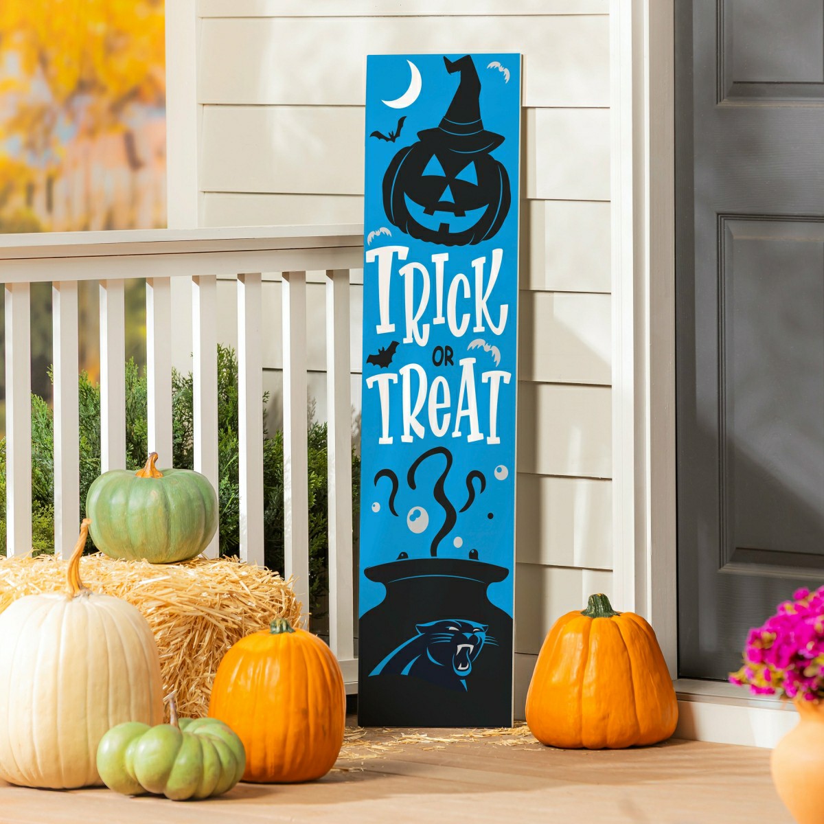 Carolina Panthers 47" Double Sided Leaner, Halloween - NFL Home