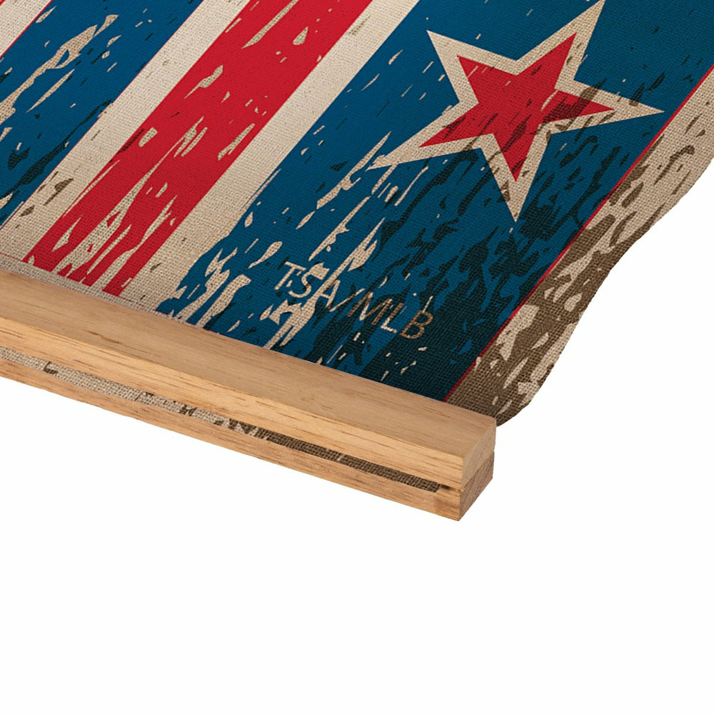 Chicago Cubs, Canvas Wall Tapestry, Medium, 36x24 - MLB Home