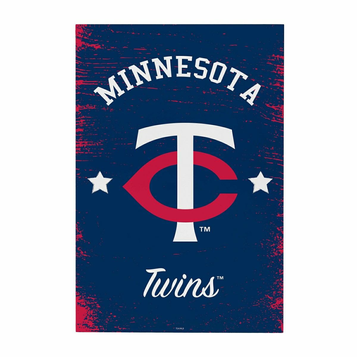 Minnesota Twins Wood Wall Sign, 16x24 - MLB Home