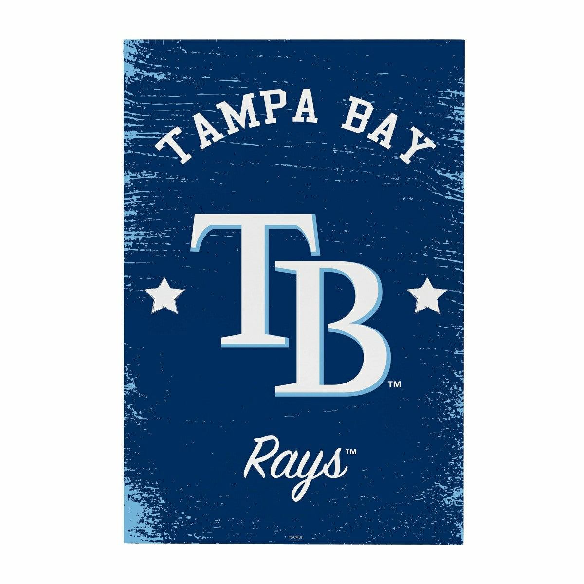Tampa Bay Rays Wood Wall Sign, 16x24 - MLB Home