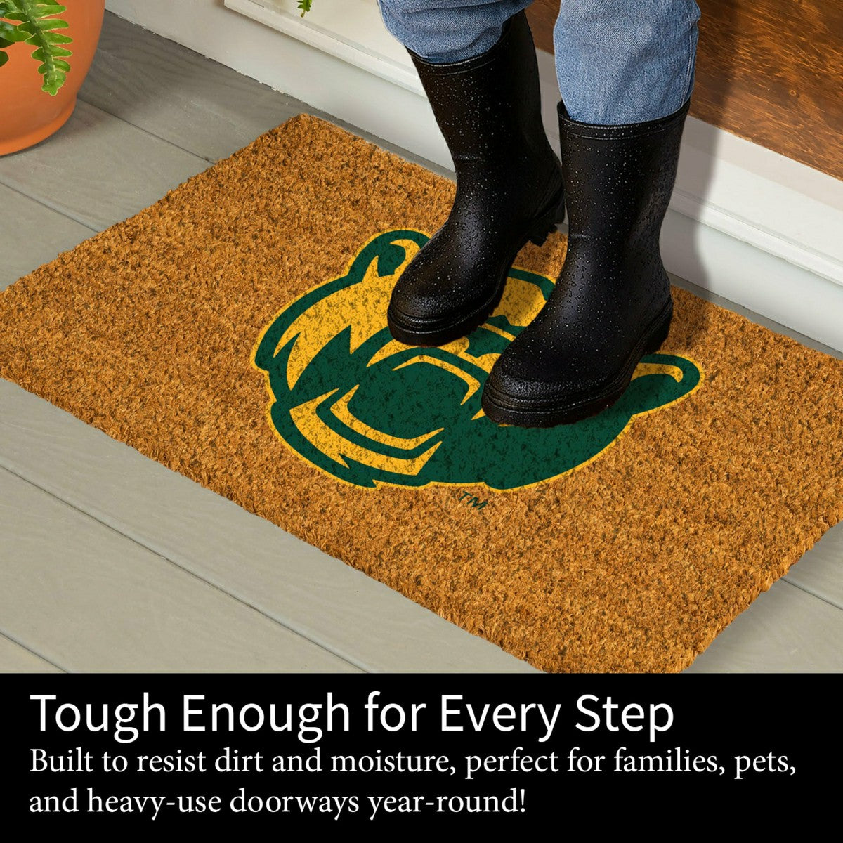 Coir Mat, 16"x28", Baylor University - Collegiate