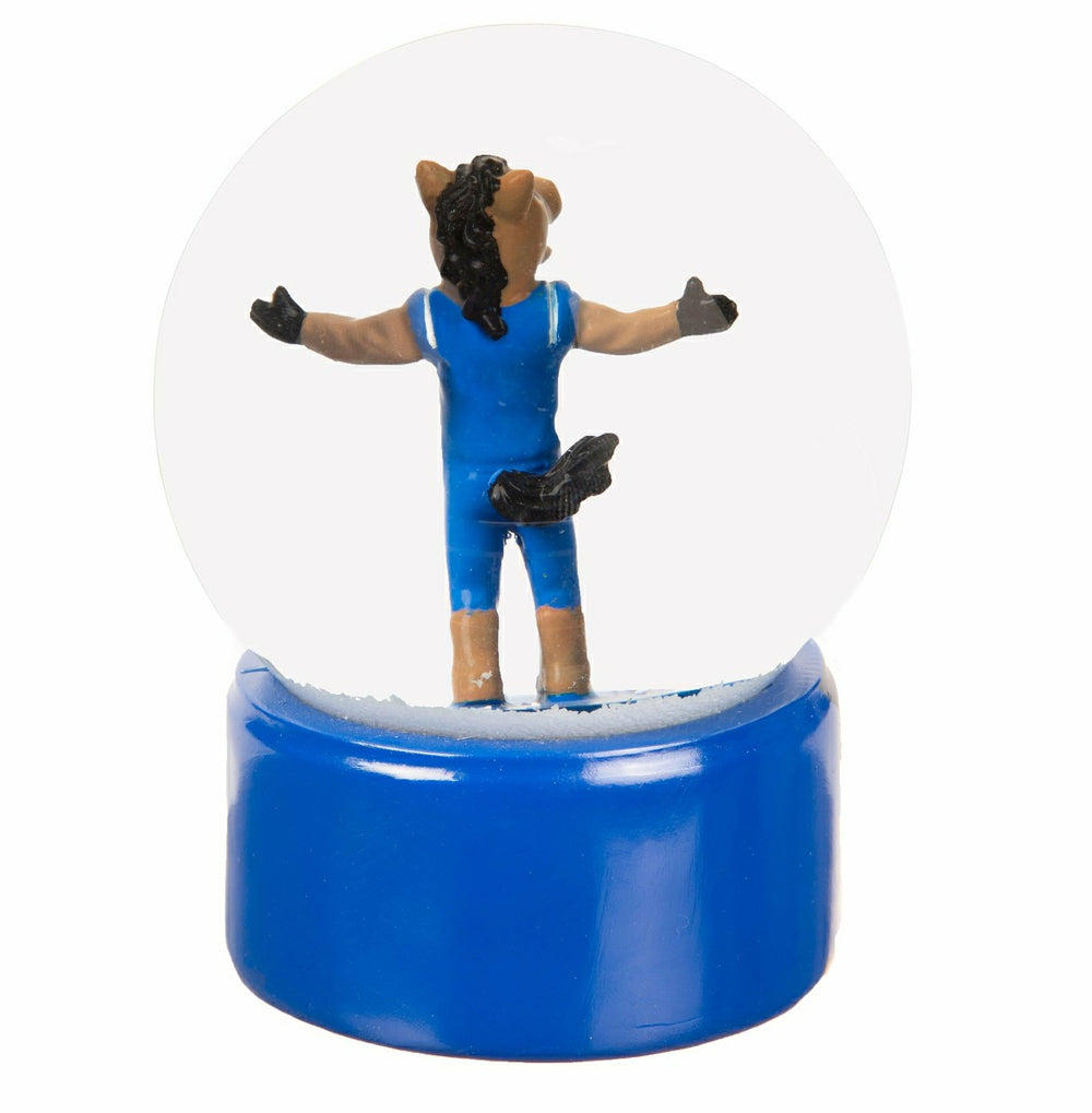 Water Globe, Boise State University - Collegiate Home