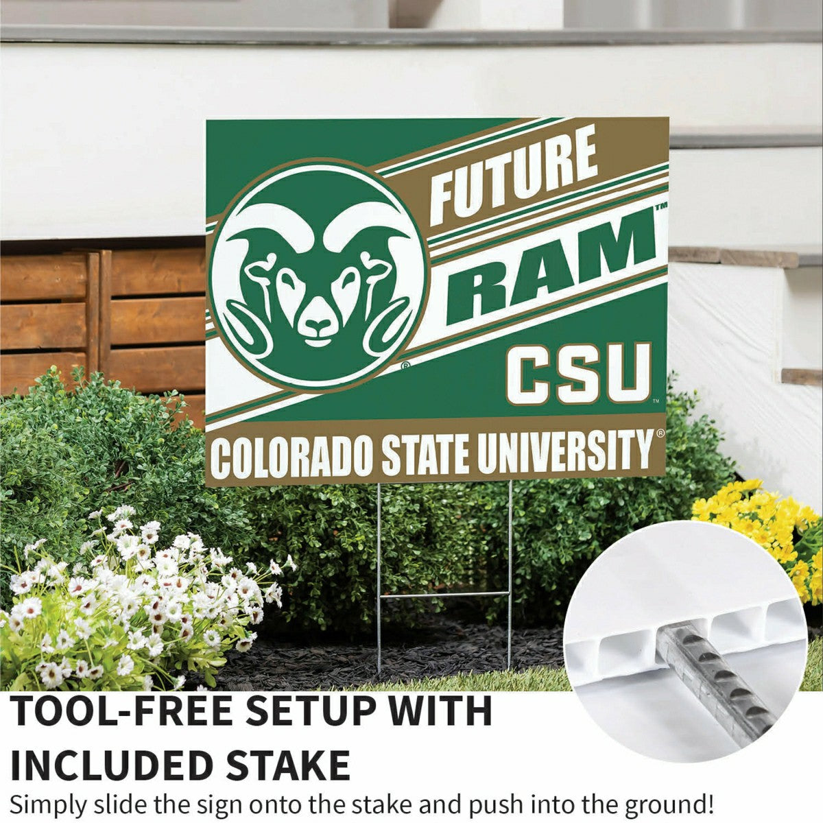 Colorado State University Coroplast Yard Sign, Future Student - Collegiate Home