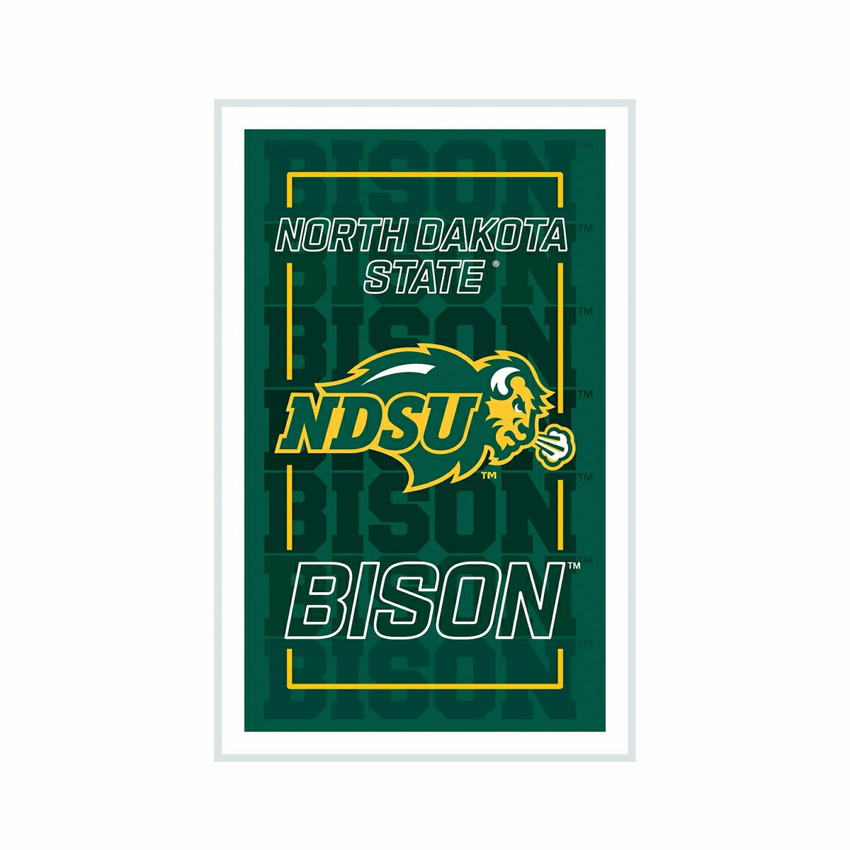 North Dakota State University College Rectangle Neolite LED Decor - Collegiate Sale Home