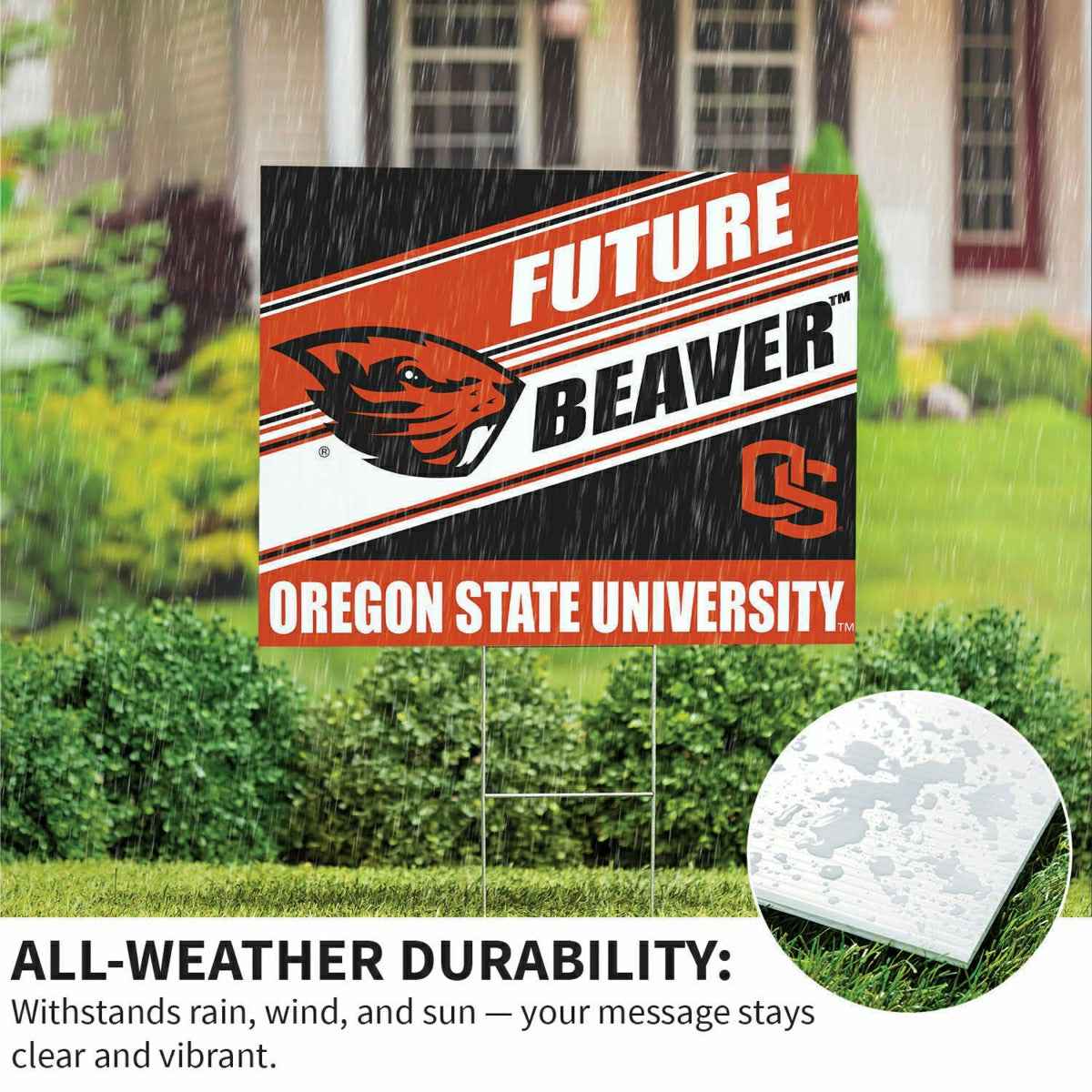 Oregon State University Coroplast Yard Sign, Future Student - Collegiate Home