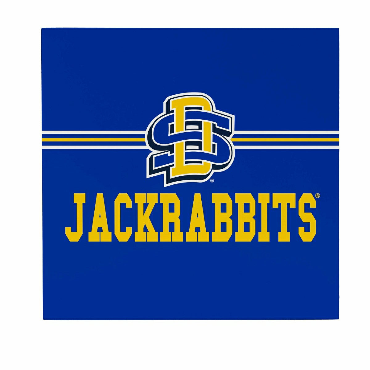South Dakota State University Wood Wall Sign, 12x12 - Collegiate Home