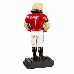 University of Georgia, Mascot Statue - Collegiate