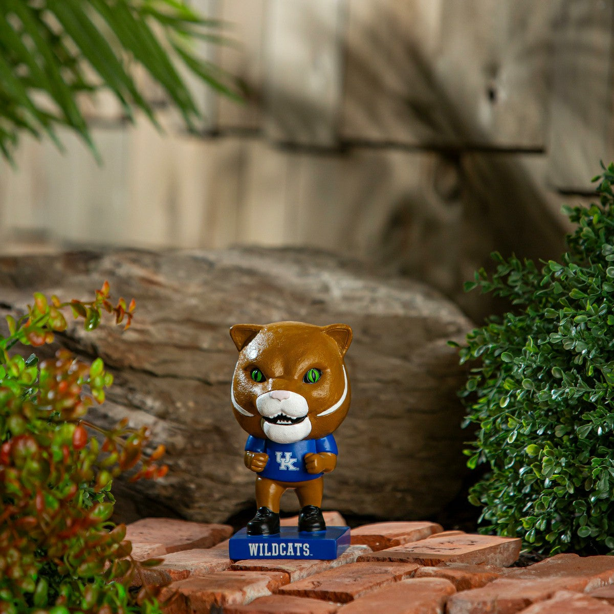 Lil Big Head Statue, Mascot, University of Kentucky - Collegiate Home