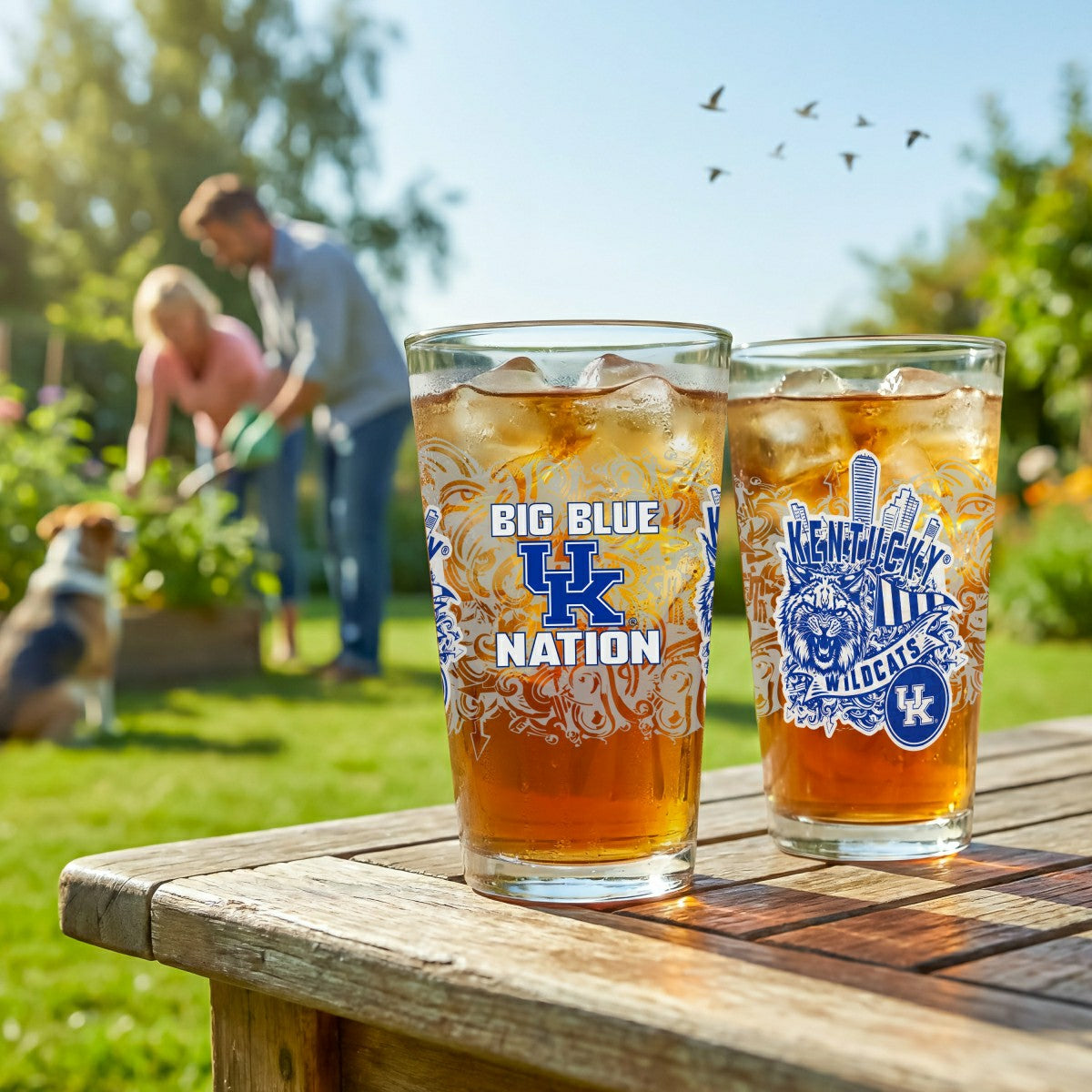 University of Kentucky 16oz Glass pint, Set of 2 - Collegiate Home