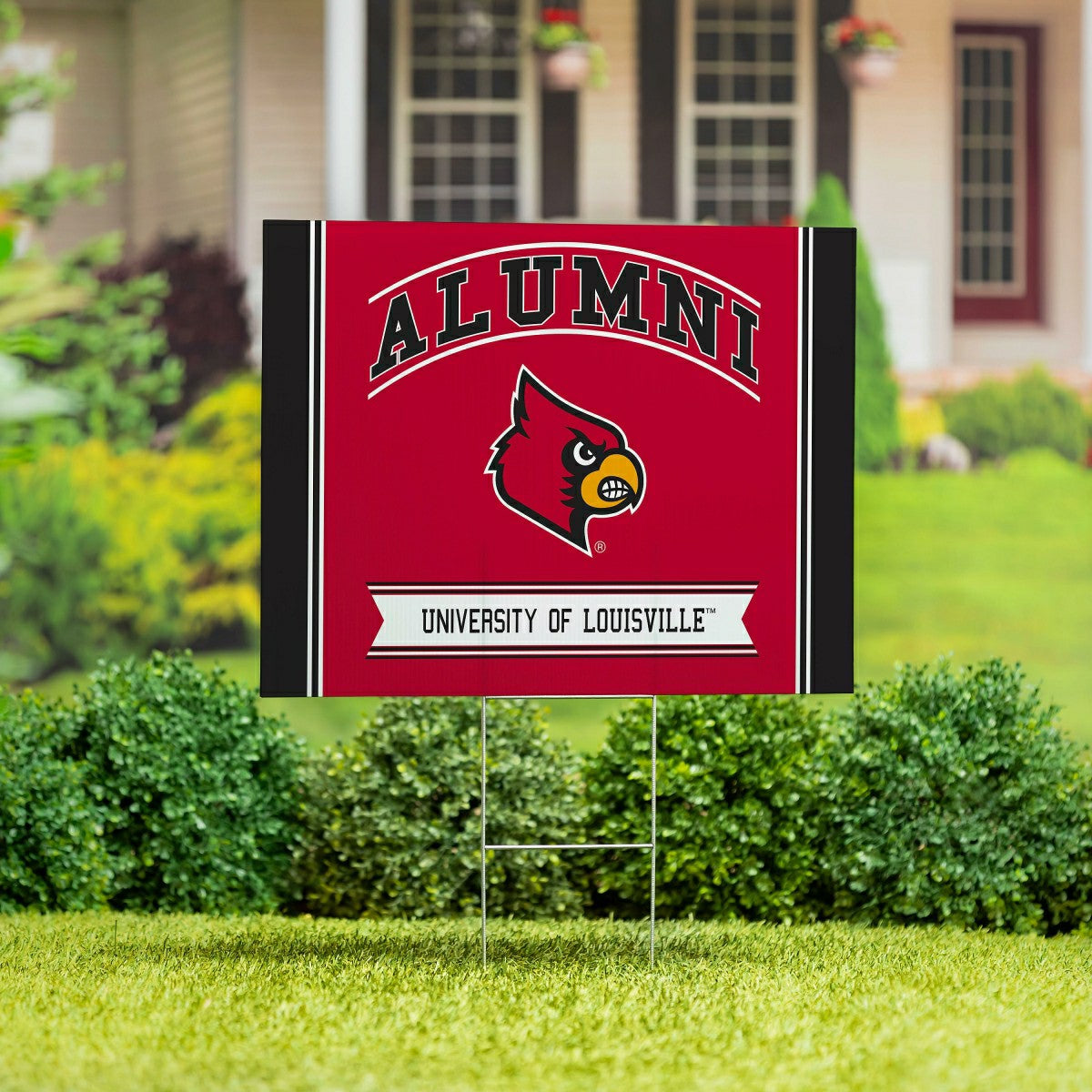 University of Louisville Coroplast Yard Sign Alumni - Collegiate Home