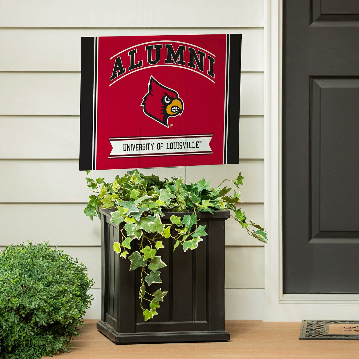 University of Louisville Coroplast Yard Sign Alumni - Collegiate Home