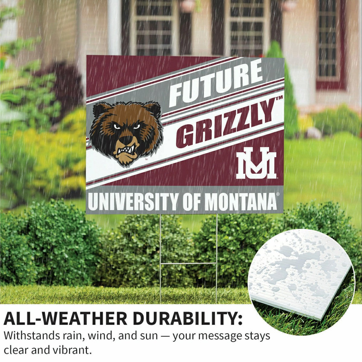 University of Montana Coroplast Yard Sign, Future Student - Collegiate Home
