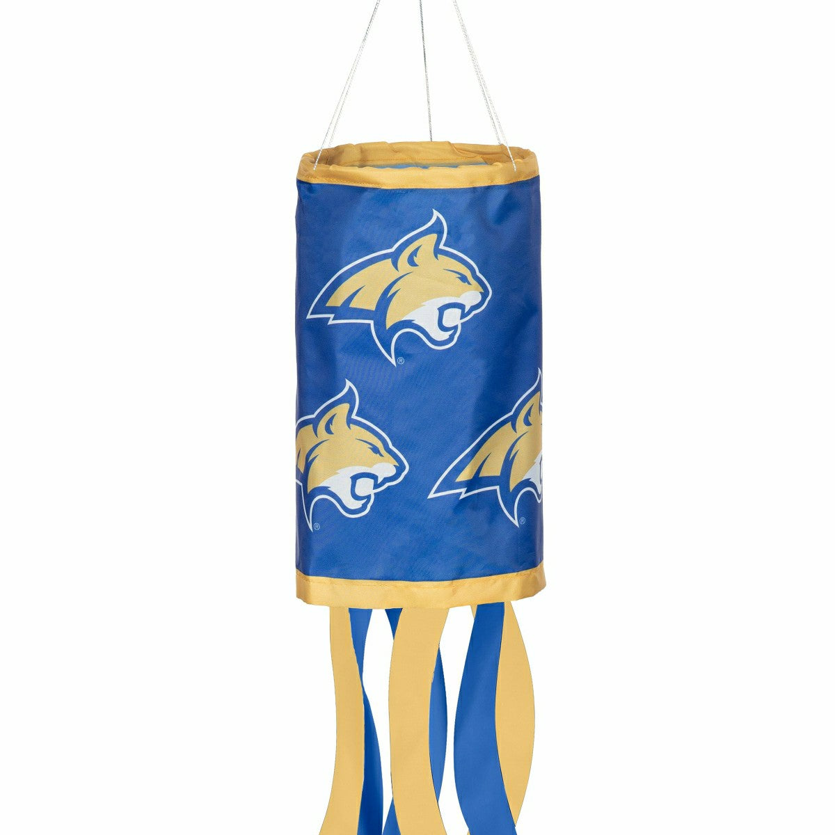 University of Pittsburgh Windsock - Collegiate Home