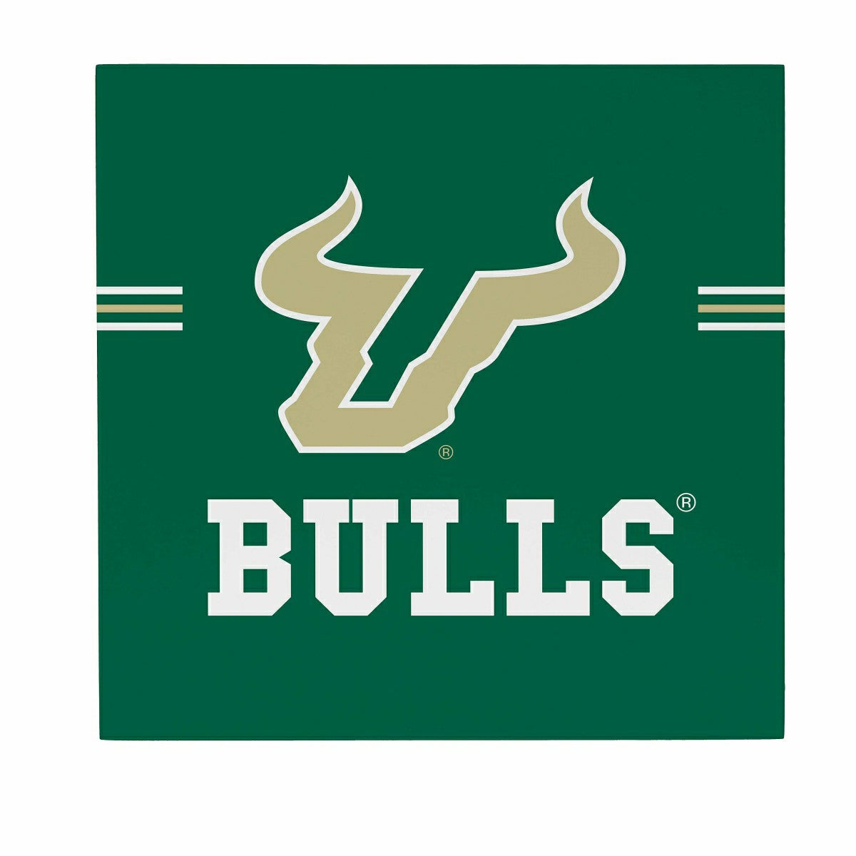 University of South Florida Wood Wall Sign, 12x12 - Collegiate Home
