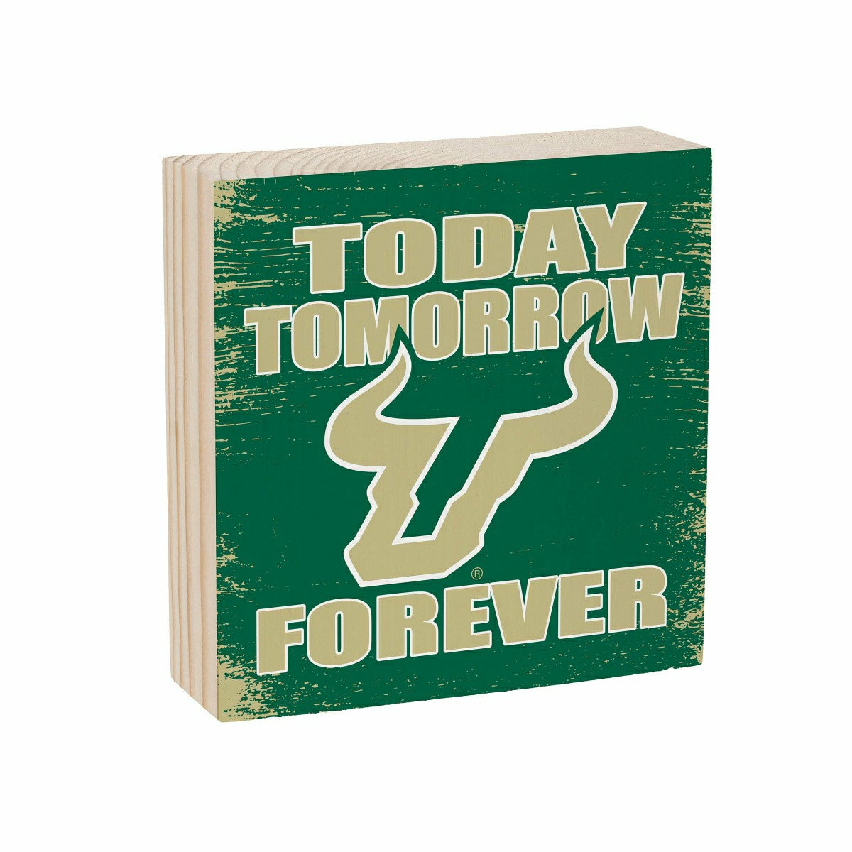University of South Florida Plock, Down Home Fans, 6x6 - Collegiate Home