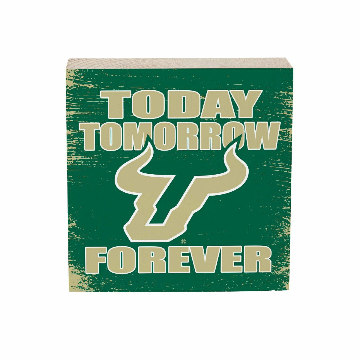 University of South Florida Plock, Down Home Fans, 6x6 - Collegiate Home