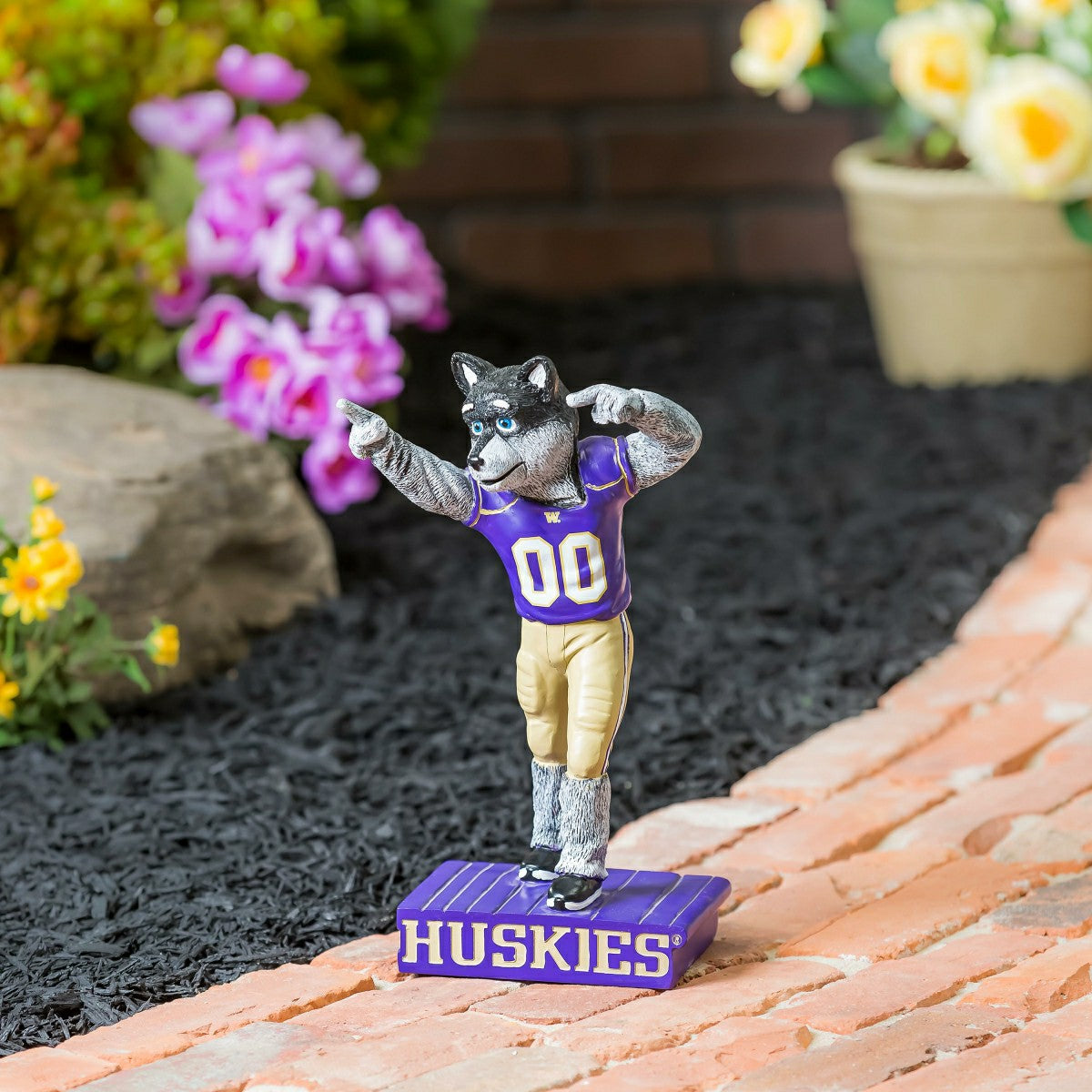 University of Washington Huskies, Mascot Statue - Collegiate Home