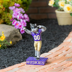 University of Washington Huskies, Mascot Statue - Collegiate Home