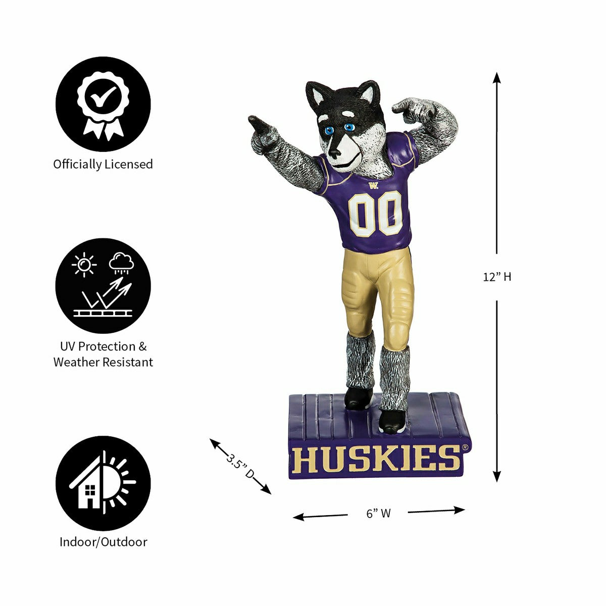 University of Washington Huskies, Mascot Statue - Collegiate Home