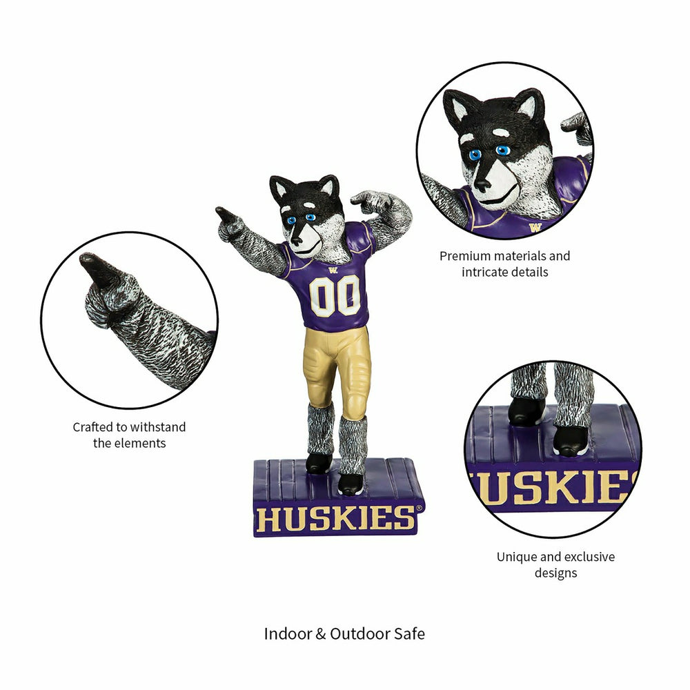 University of Washington Huskies, Mascot Statue - Collegiate Home