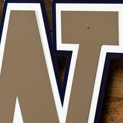 University of Washington Premier Metal Wall Art - Collegiate Home