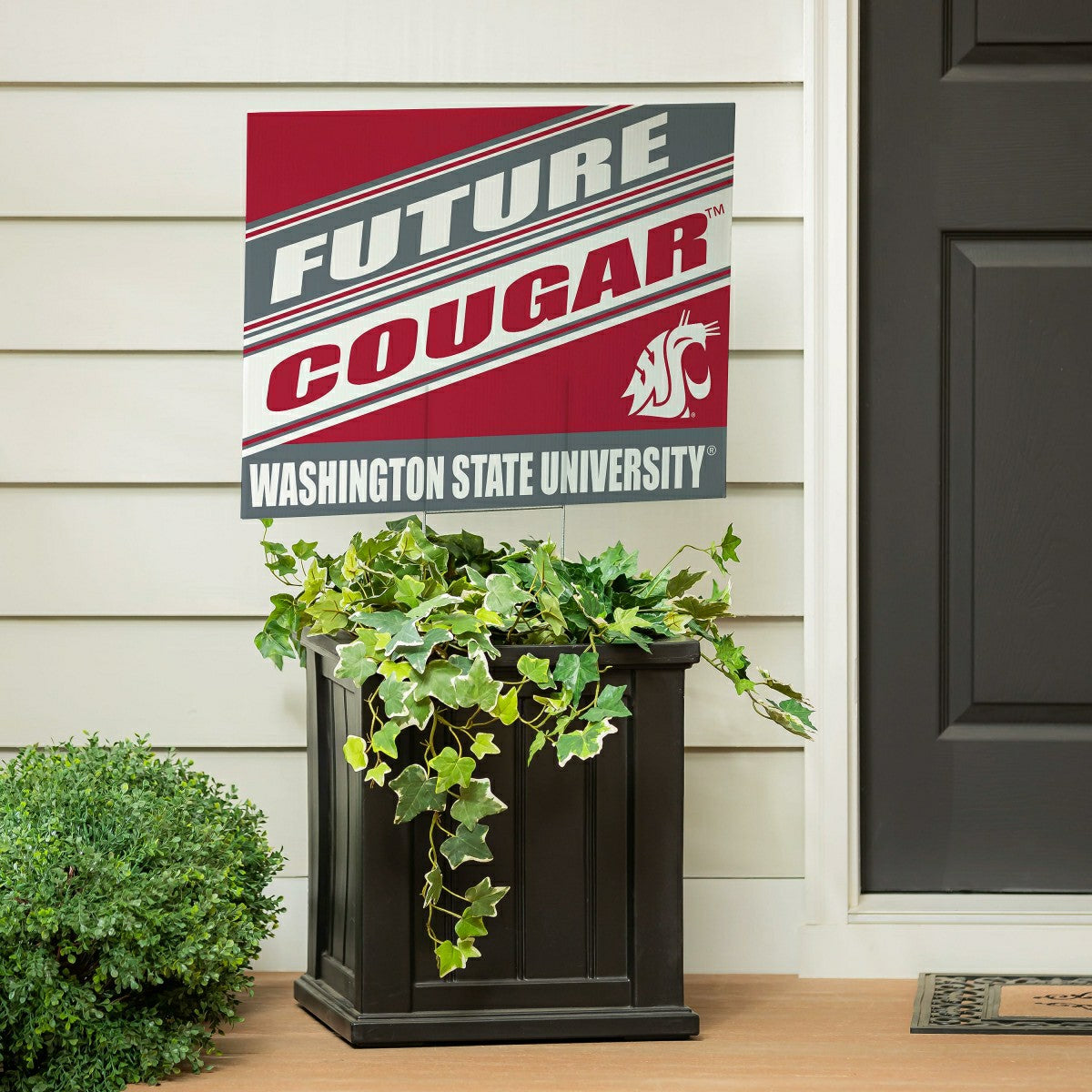 Washington State University Coroplast Yard Sign, Future Student - Collegiate Home