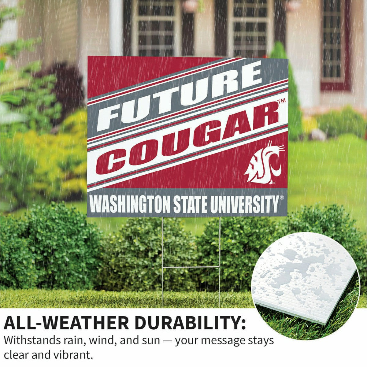 Washington State University Coroplast Yard Sign, Future Student - Collegiate Home