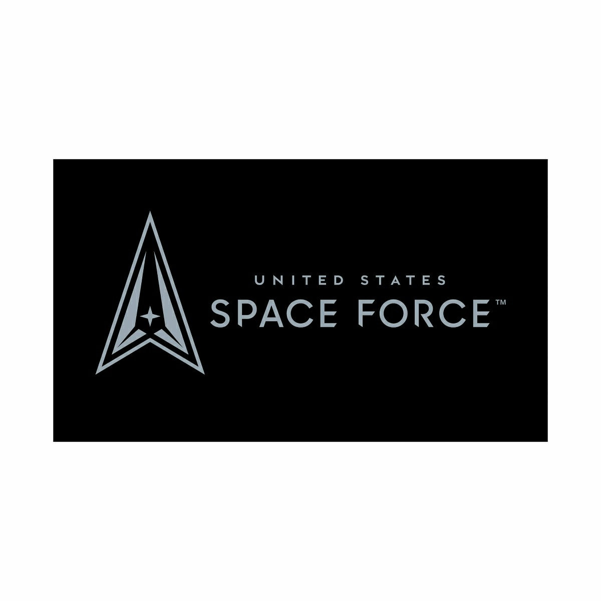 US Space Force Full Color PVC Mat, 16" x 28" - US Military