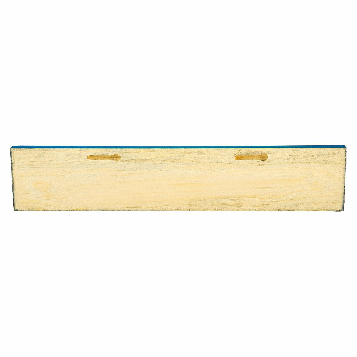 Detroit Lions Engraved Wood Sign, 3.5" x 18" - NFL Home