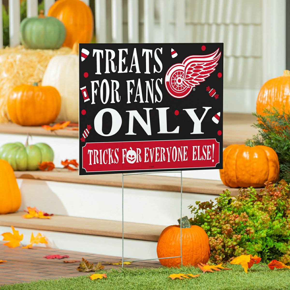 Detroit Red Wings Yard Sign, Halloween Treats for Fans - NHL Home