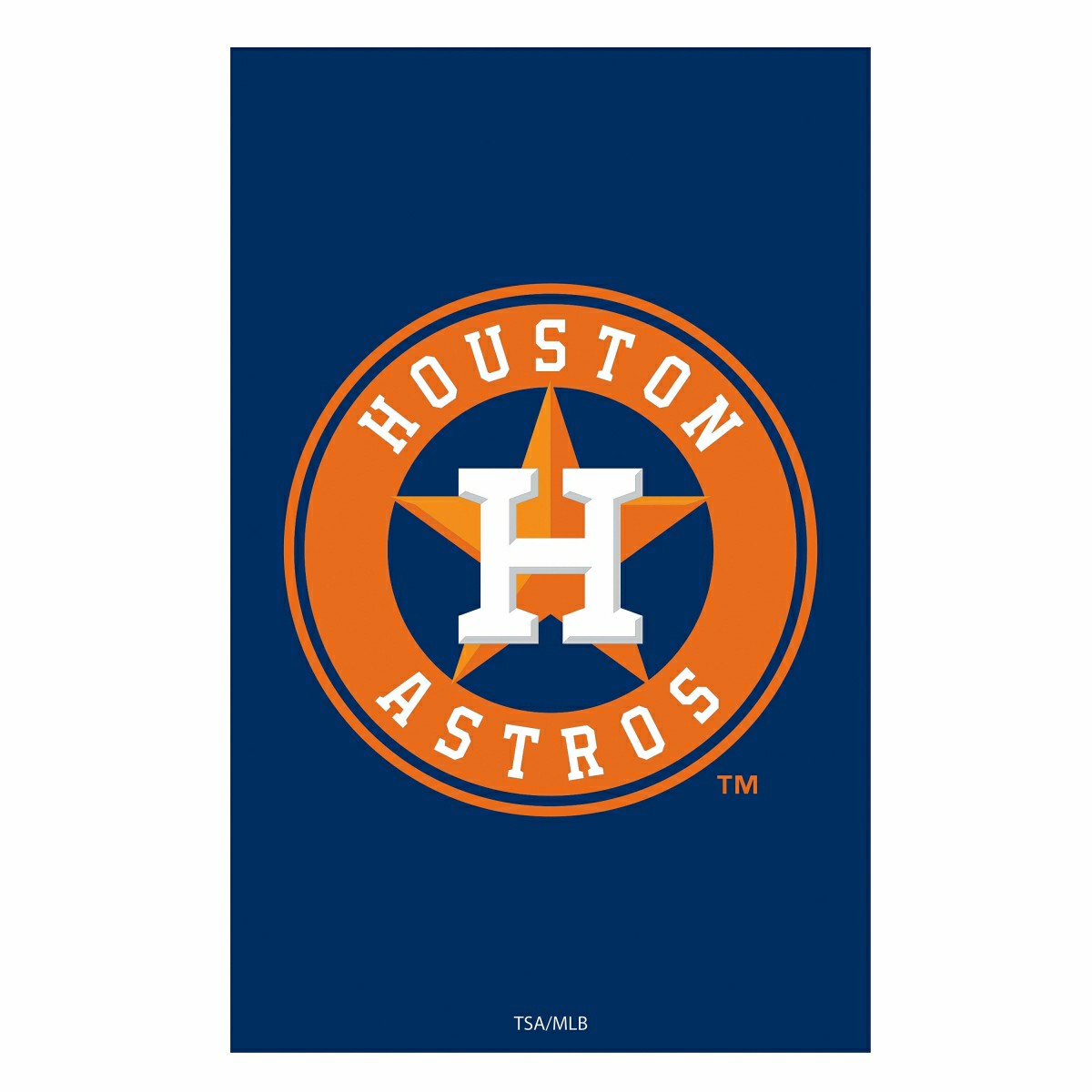 Houston Astros Appliqué House Flag - MLB Home