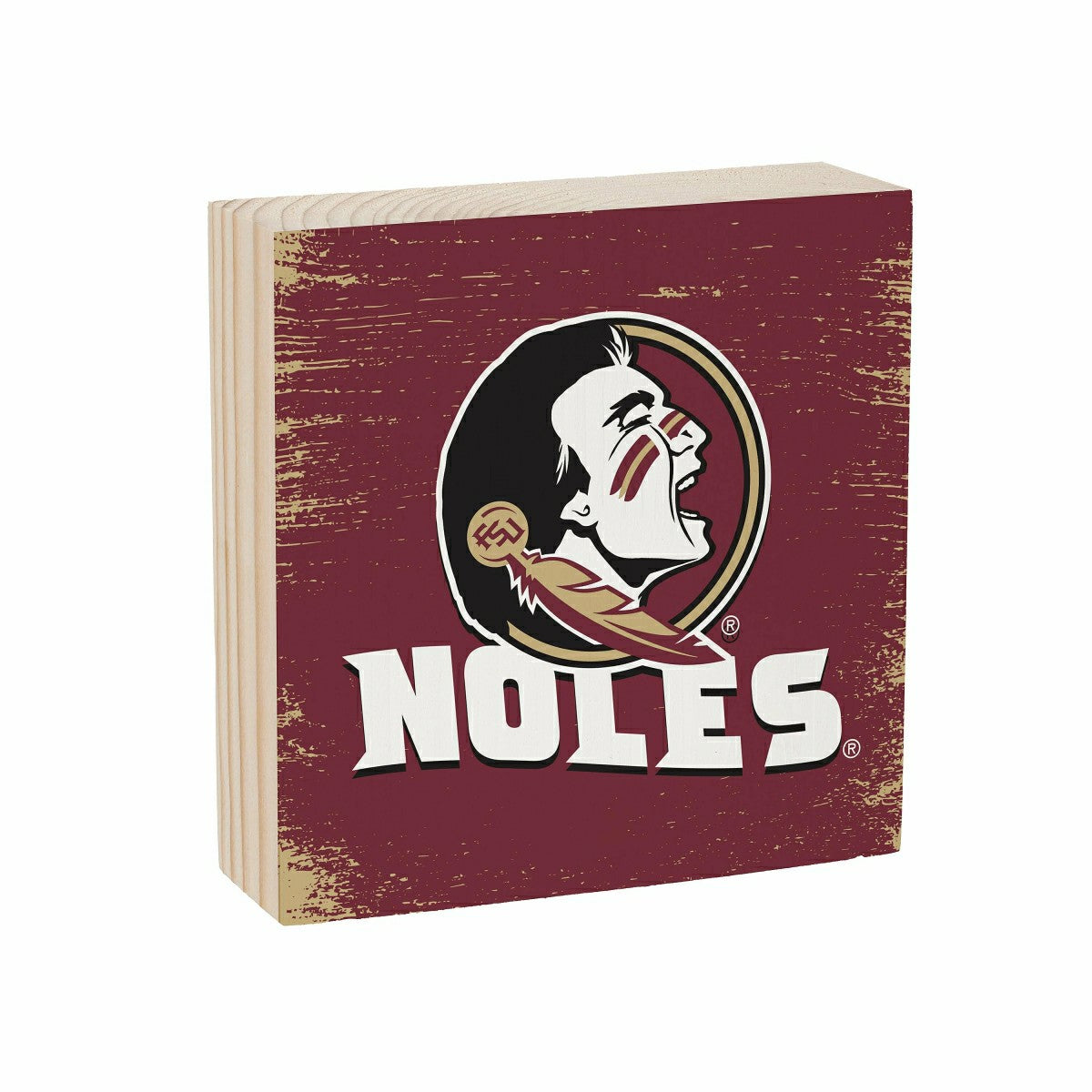 Florida State University Plock, Down Home Fans, 6x6 - Collegiate Home