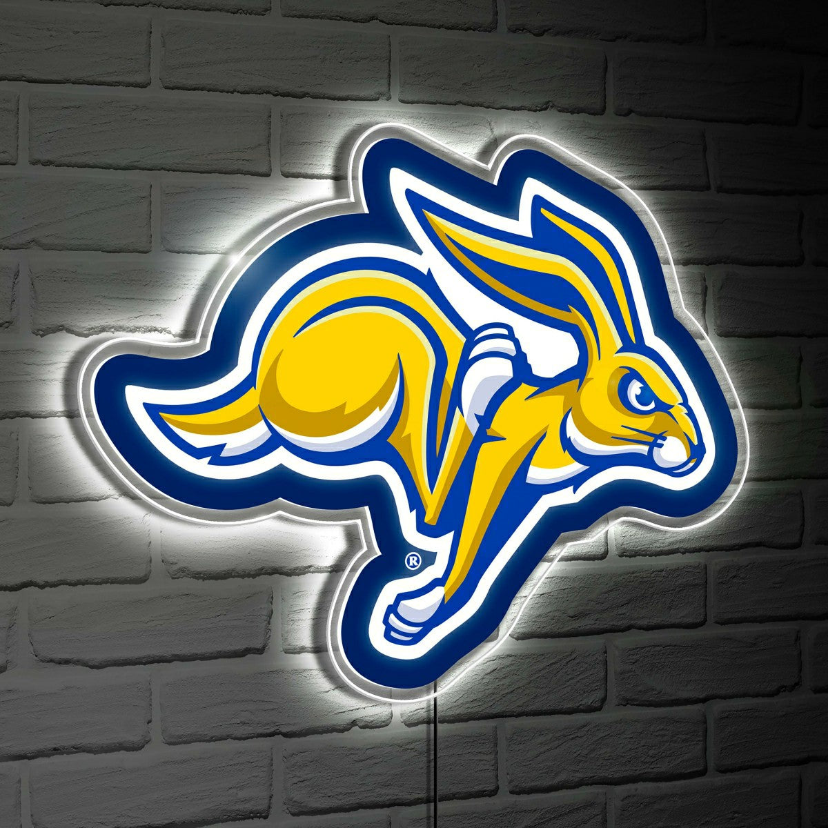LED Wall Decor, Glazelite, College Mascot, South Dakota State Universi - Collegiate Home