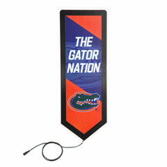 LED Wall Decor, Pennant, University of Florida - Collegiate Home