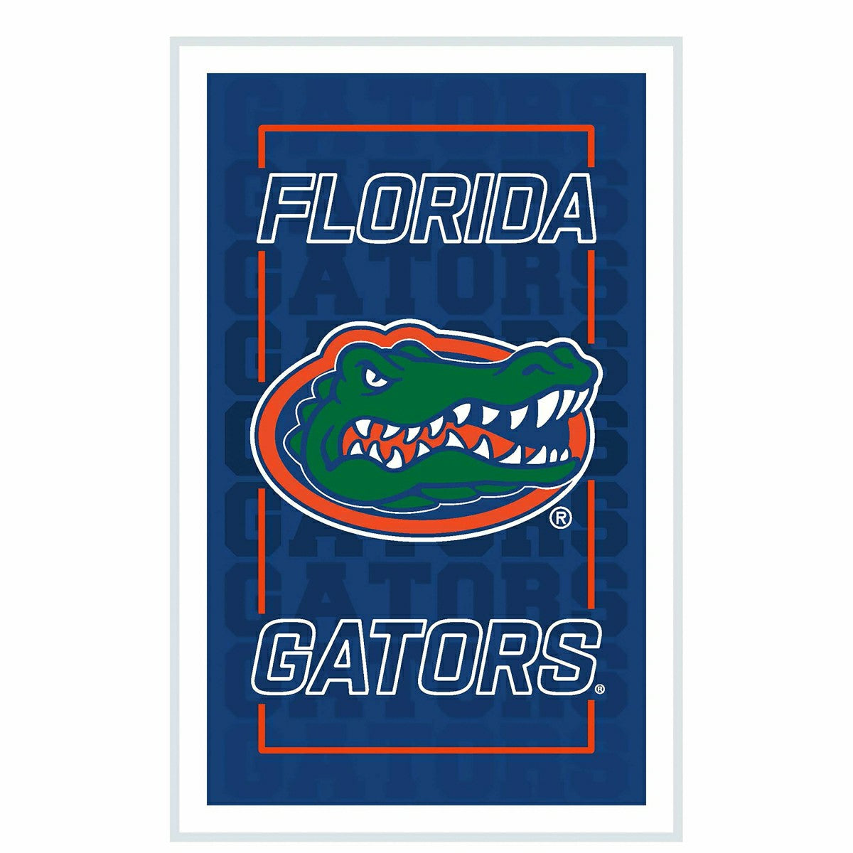 University of Florida College Rectangle Neolite LED Decor - Collegiate Home