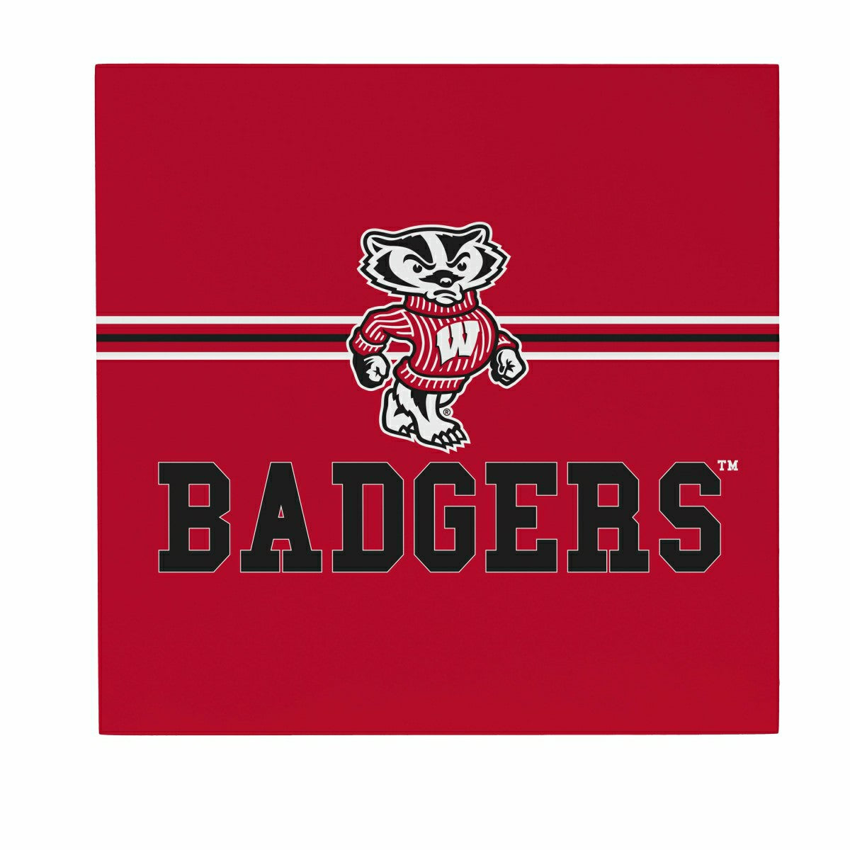 University of Wisconsin-Madison Wood Wall Sign, 12x12 - Collegiate Home