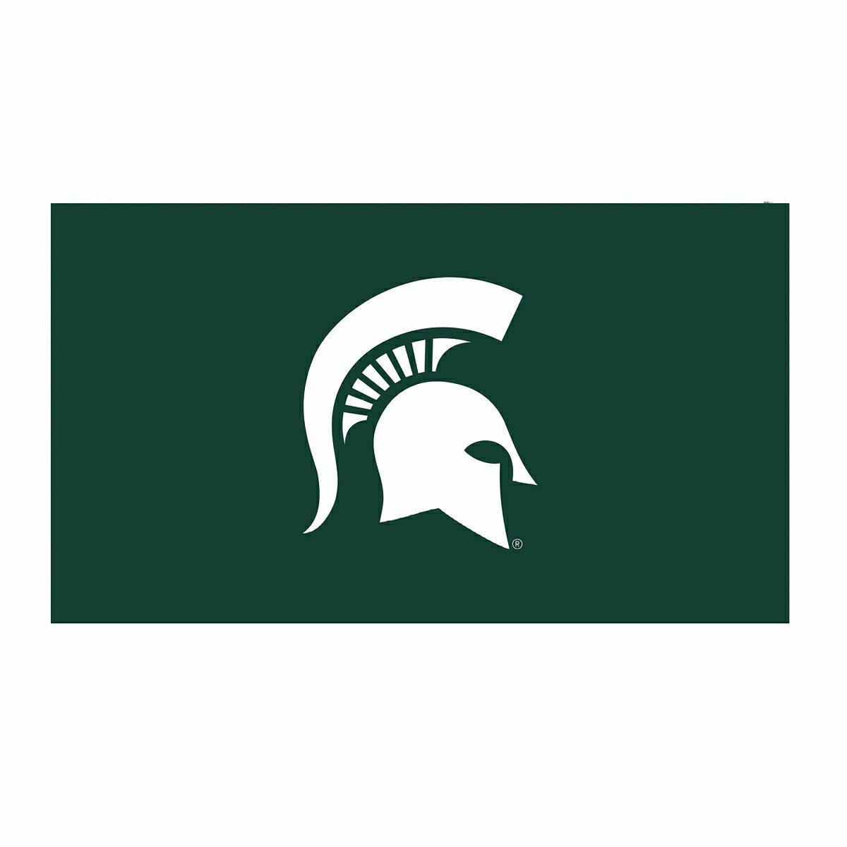 Full Color PVC Mat, 16" x 28", Michigan State University - Collegiate